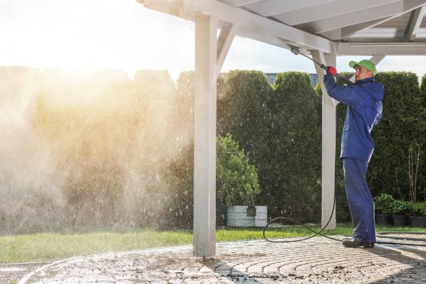 Best Animal Enclosure Cleaning  in Lockport, NY
