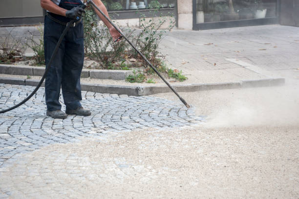 Best Driveway Pressure Washing  in Lockport, NY