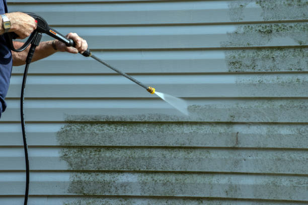 Professional Pressure Washing Services in Lockport, NY
